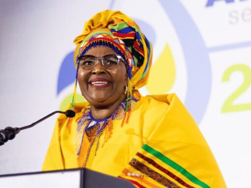 Pemmy Majodina Minister of Water and Sanitation of South Africa