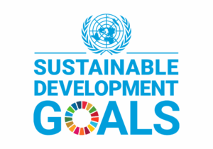 Sustainable Development Goals logo