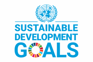 Sustainable Development Goals logo