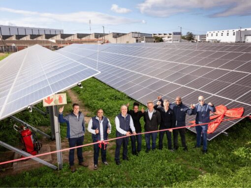 Volkswagen Group Africa Completes Solar Panel Project At Component Plant cutting the ribbon