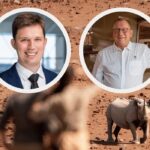 Wilderness Holdings and Standard Bank CIB deal