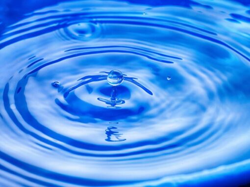 droplet of water in a pond