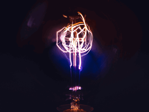 lightbulb in the dark