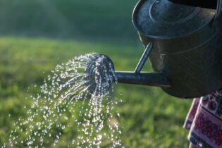 watering a garden