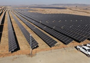 Ilikwa PV Facility solar panels field