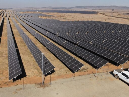 Ilikwa PV Facility solar panels field