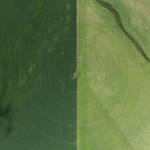 Irrigation field from above