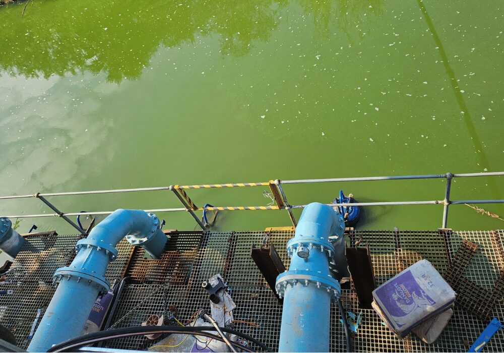 Magalies Water pipeline into waste water