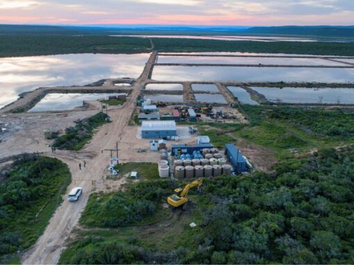 SA-H2 Portfolio Company Hive Hydrogen Coega Green Ammonia Project - 41 Hectare Site Secured in the SEZ (3)