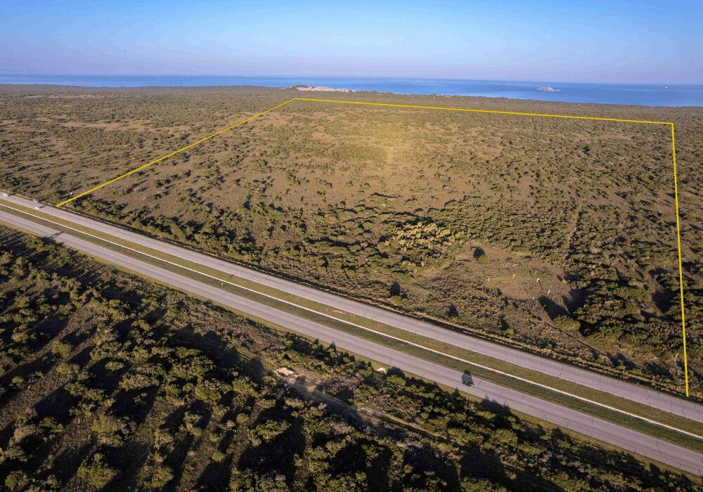 SA-H2 Portfolio Company Hive Hydrogen Coega Green Ammonia Project - 41 Hectare Site Secured in the SEZ