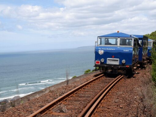 blue train cart on a railway in South Africa