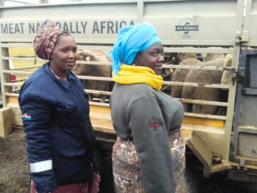 community women farmers for Meat Naturally Africa