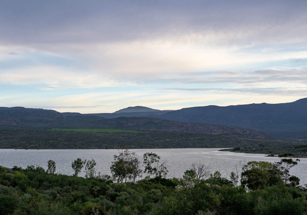 dam water for the Department of Water and Sanitation