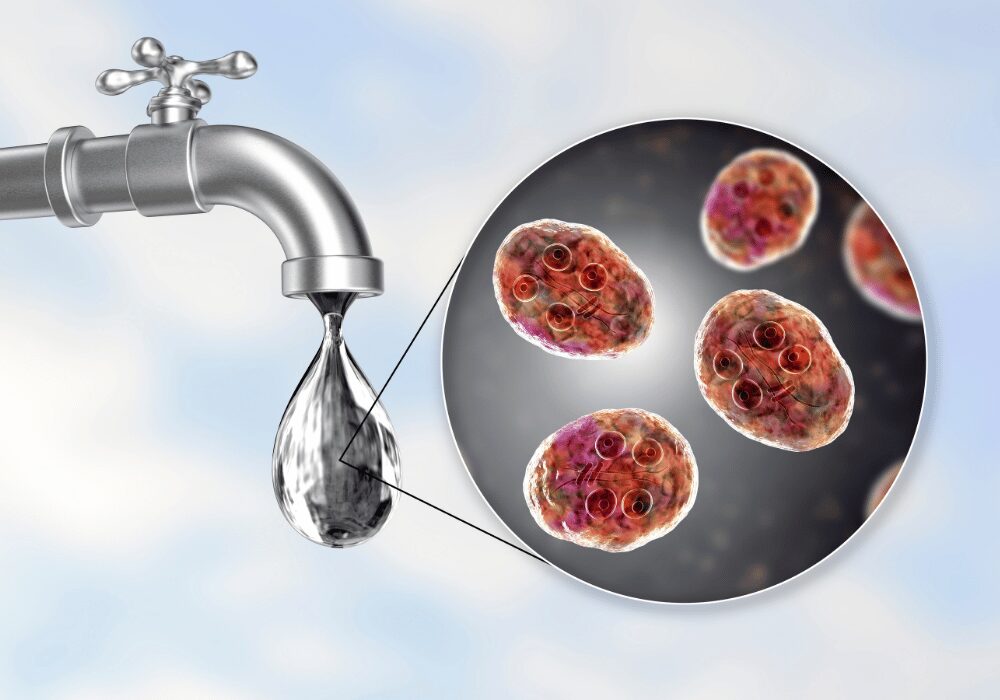 particles within a water droplet highlighted