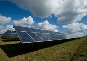solar panels out in field