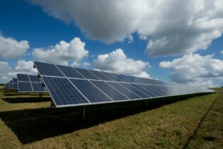 solar panels out in field