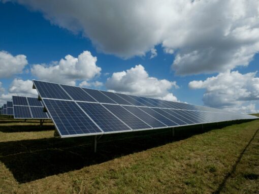 solar panels out in field