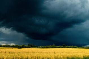 storm clouds over a wheat field