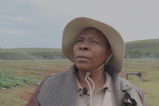 Agriculture MEC Nonceba Kontsiwe looking to the left