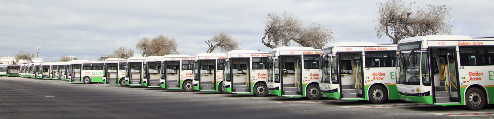 Golden Arrow Buses in a row