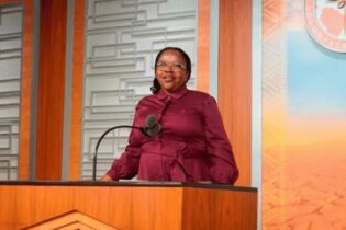 Gauteng MEC for Roads and Transport, Kedibone Diale-Tlabela