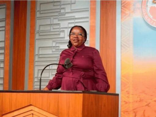 Gauteng MEC for Roads and Transport, Kedibone Diale-Tlabela