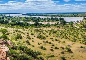 Limpopo River part of the Limpopo-Olifants Catchment