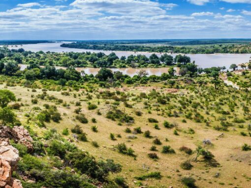 Limpopo River part of the Limpopo-Olifants Catchment