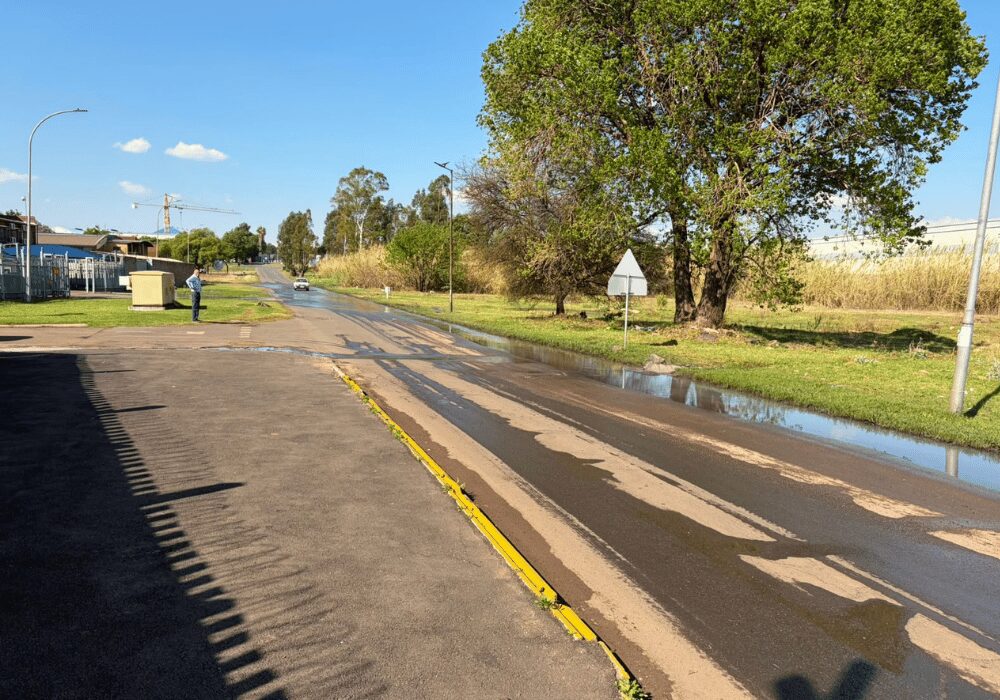 Sewage Leakage across the road in Wadeville