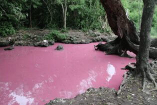 South Africa’s Isinuka Spring near Port St Johns is naturally pink