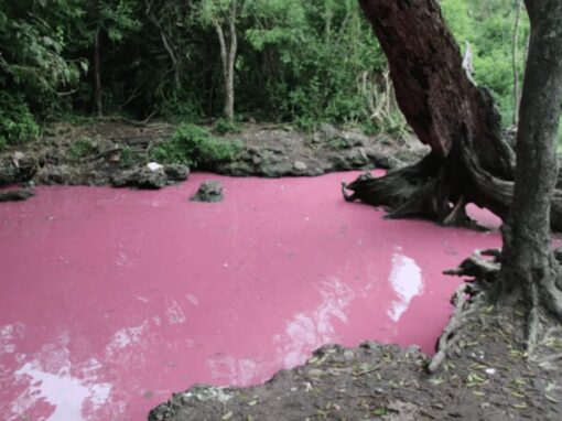 South Africa’s Isinuka Spring near Port St Johns is naturally pink