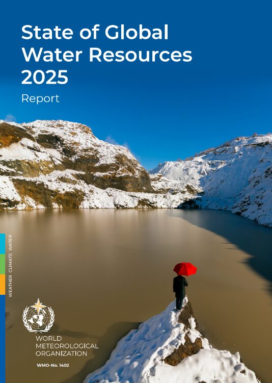 State of Global Resources 2025 booklet