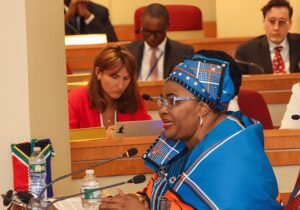 Water and Sanitation Minister Pemmy Majodina speaking at a UN event