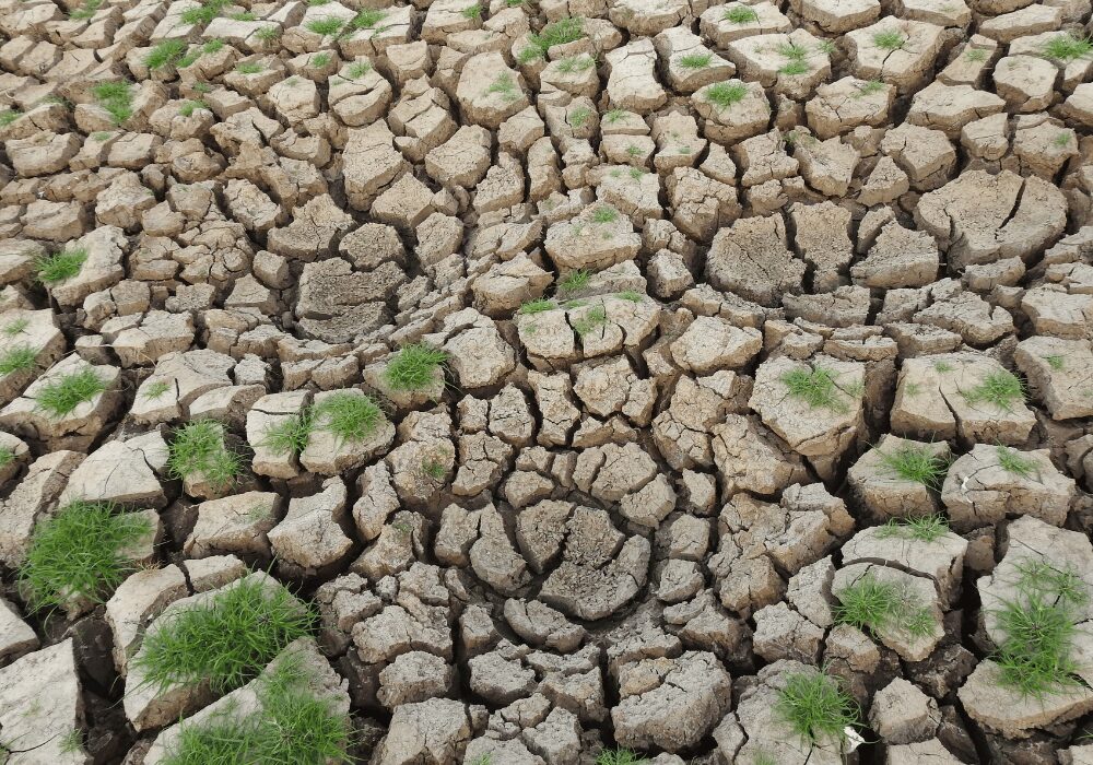 drought formed mud with no water
