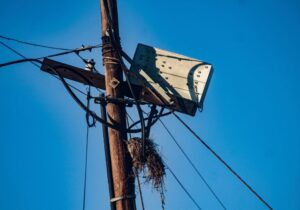 electricity box with a bird nest against a blue sky