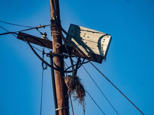 electricity box with a bird nest against a blue sky