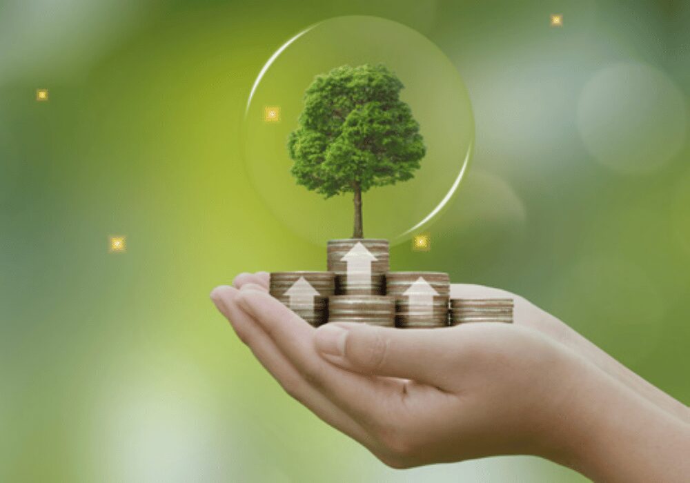hand holding coins with up arrows and a tree ontop of the coins