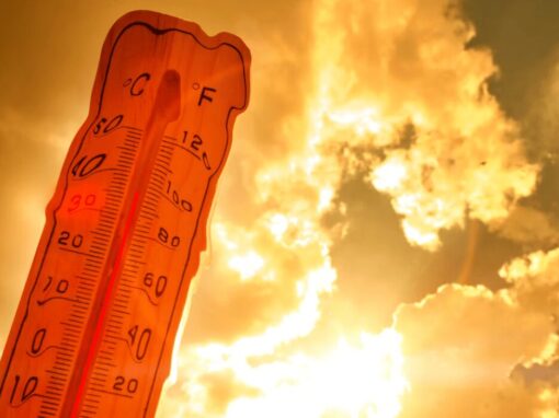 high temperature thermometer