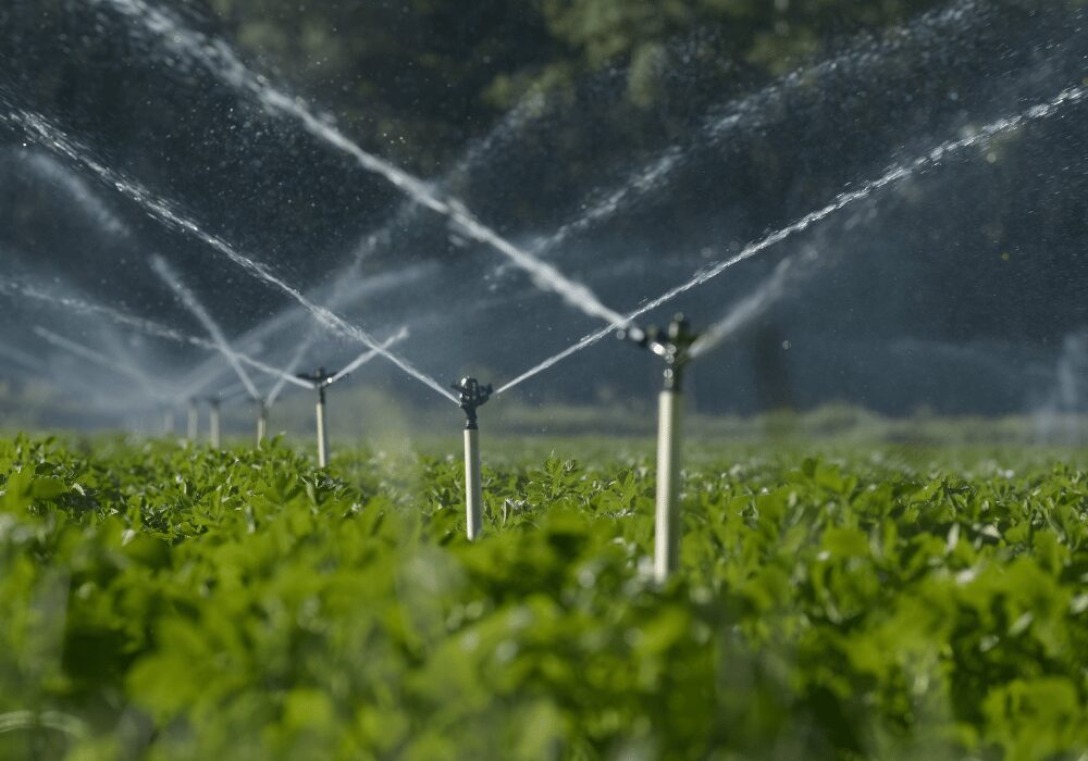 irrigation system within farming field