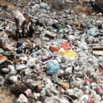 landfill filled with plastic pollution and a goat