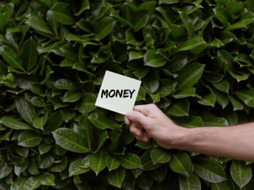 money label held by a hand