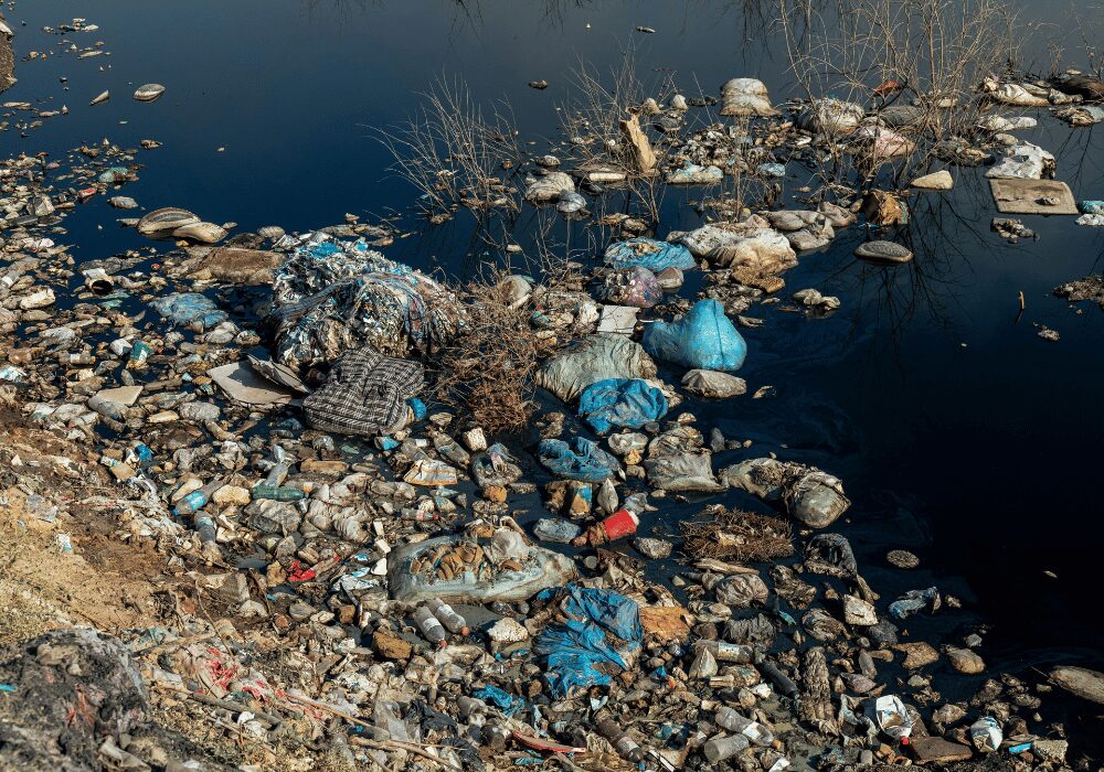 Environmental protection is a key function of catchment management