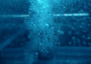 water bubbles beneath the surface in a blue toned image