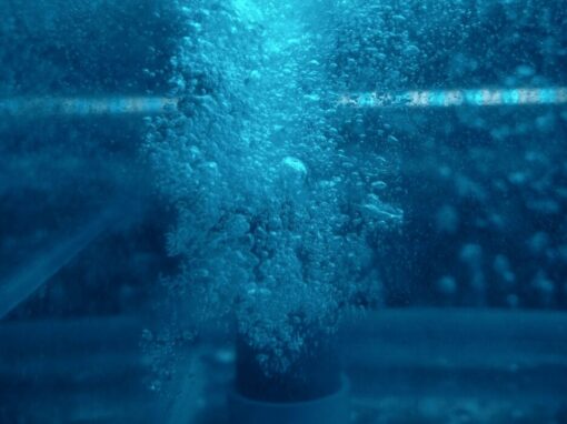 water bubbles beneath the surface in a blue toned image