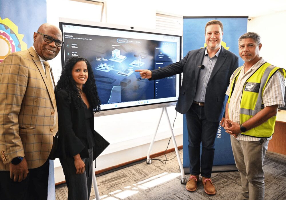 City Manager Lungelo Mbandazayo, Alderman Limberg, Mayor Hill-Lewis and Energy official Marlyn Hendricks