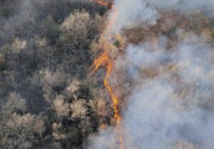 El Niño weather consequences as field burns due to high heat and fire