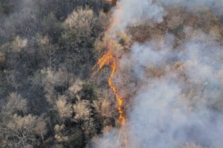 El Niño weather consequences as field burns due to high heat and fire