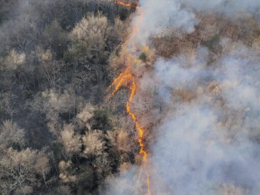 El Niño weather consequences as field burns due to high heat and fire