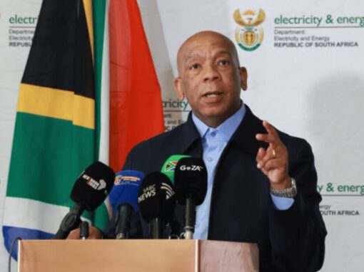 Electricity and Energy Minister, Dr Kgosientsho Ramokgopa