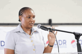 Human Settlements Minister Thembi Simelane